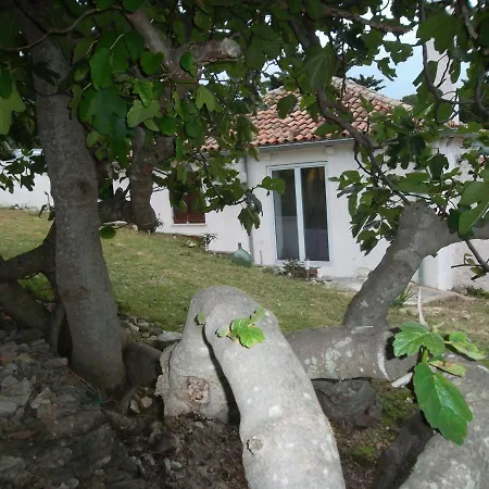 Damir Apartament Nerezine