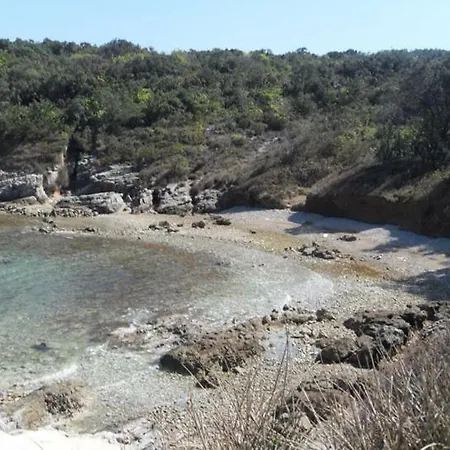 Damir * نيغيزيني