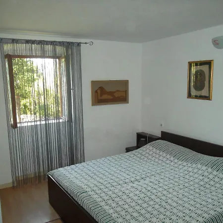 Damir نيغيزيني