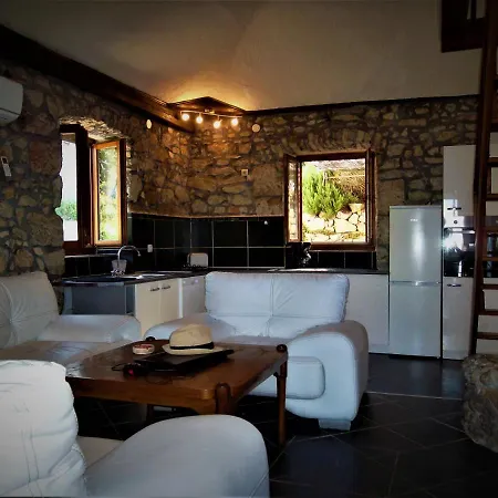 Damir نيغيزيني