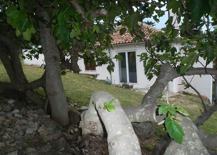Damir Apartament Nerezine